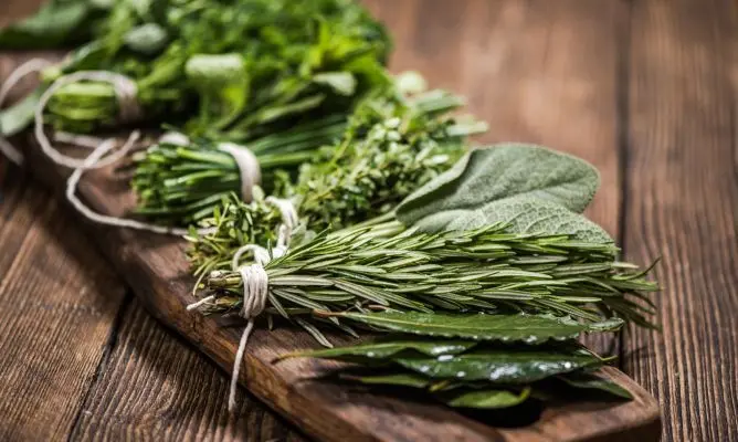 Beneficios de las hierbas aromáticas en las bebidas