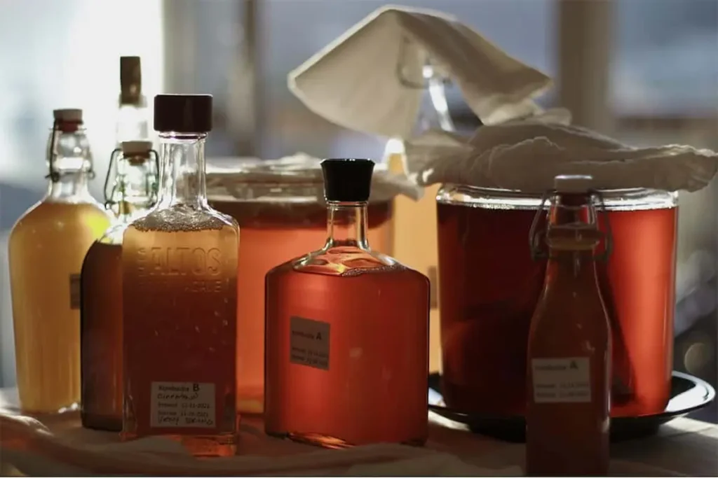 proceso de fermentación