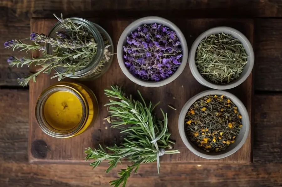 ¿Cómo activar las hierbas aromáticas